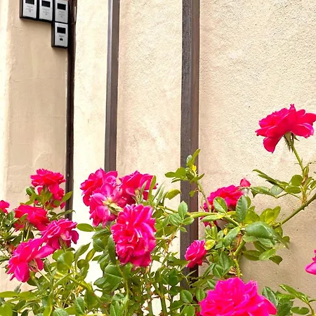 Schinkel Ferienunterkuenfte Quedlinburg Unesco Altstadt, Parkplatz Incl *