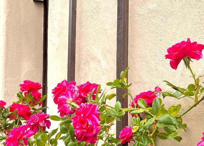 Schinkel Ferienunterkuenfte Unesco Altstadt, Parkplatz Inkl *