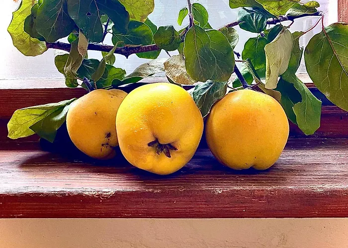 Schinkel Ferienunterkuenfte Unesco Altstadt, Parkplatz Inkl * קדלינבורג